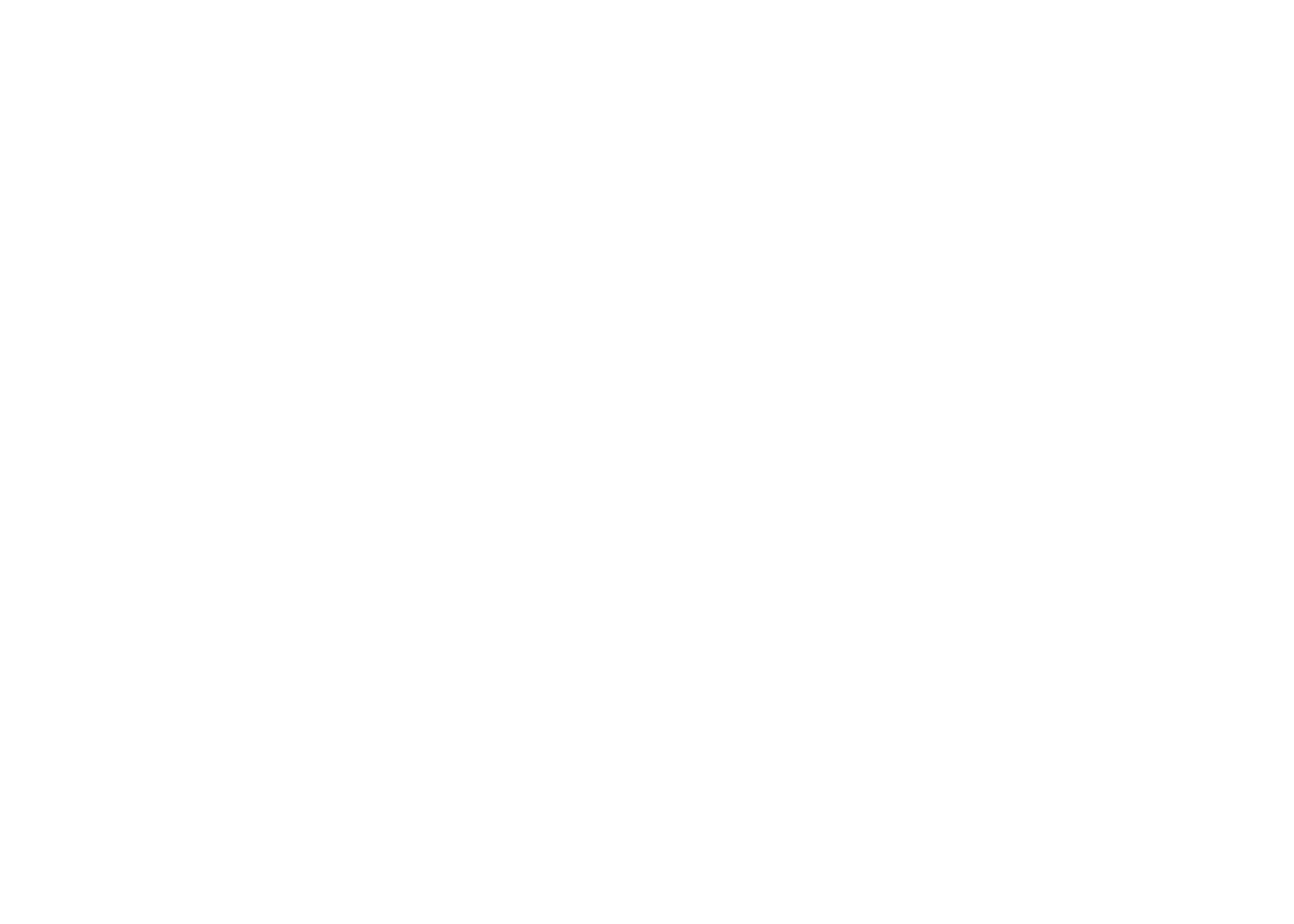 Burris Construction Logo White